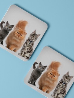 Kedi Çetesi Tasarımlı 4lü Kare Bardak Altlığı Kedi Çetesi Tasarımlı 4lü Kare Bardak Altlığı