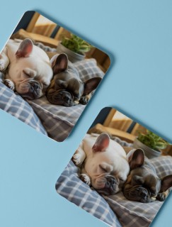 Uyuyan Buldog Köpekler Tasarımlı 4lü Kare Bardak Altlığı Uyuyan Buldog Köpekler Tasarımlı 4lü Kare Bardak Altlığı