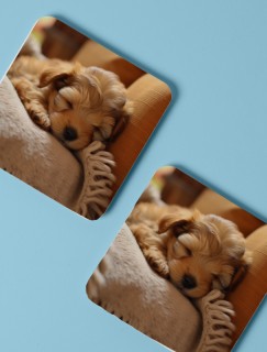 Uyuyan Sevimli Köpek Tasarımlı 4lü Kare Bardak Altlığı Uyuyan Sevimli Köpek Tasarımlı 4lü Kare Bardak Altlığı