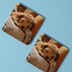 Uyuyan Sevimli Köpek Tasarımlı 4lü Kare Bardak Altlığı