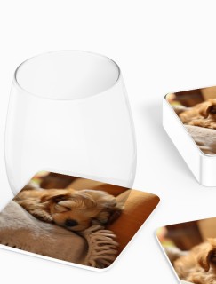 Uyuyan Sevimli Köpek Tasarımlı 4lü Kare Bardak Altlığı Uyuyan Sevimli Köpek Tasarımlı 4lü Kare Bardak Altlığı