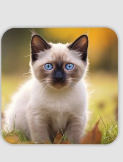 Yavru Siyam Kedi Tasarımlı 4lü Kare Bardak Altlığı Yavru Siyam Kedi Tasarımlı 4lü Kare Bardak Altlığı