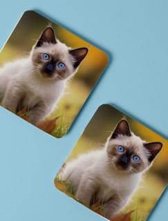 Yavru Siyam Kedi Tasarımlı 4lü Kare Bardak Altlığı Yavru Siyam Kedi Tasarımlı 4lü Kare Bardak Altlığı