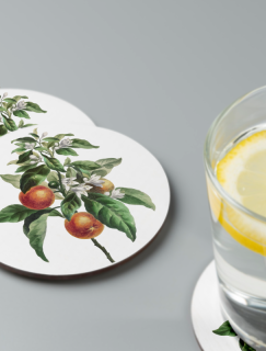 Kayısı Ağacı Tasarımlı 4lü Yuvarlak Bardak Altlığı Kayısı Ağacı Tasarımlı 4lü Yuvarlak Bardak Altlığı